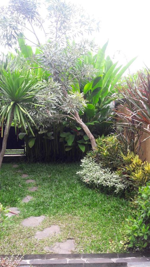Hotel De Mangku à Ubud Extérieur photo